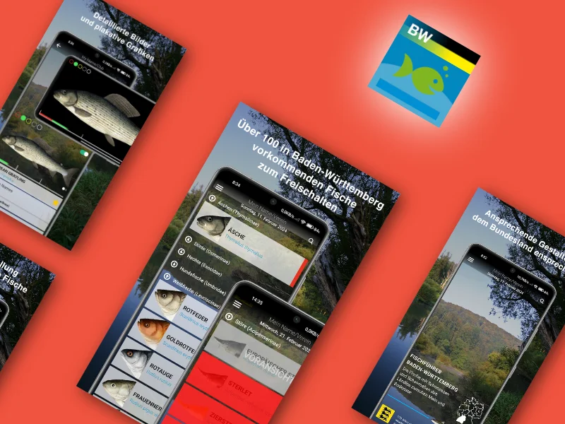 Mehrere Smartphone-Ansichten der Fischführer-App nebeneinander: ein Verzeichnis mit Fischarten, eine Detailansicht mit Foto und das Symbol der Baden-Württemberg-Ausgabe.
